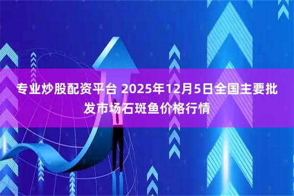 专业炒股配资平台 2025年12月5日全国主要批发市场石斑鱼价格行情